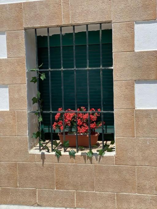 El Rincon Del Rey Apartment Torrejon del Rey ภายนอก รูปภาพ